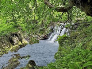 Photo 14- click for photo gallery